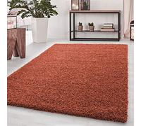 Abaseen Small Large Shaggy Rug Modern Rugs Living Room Extra Large Small Medium Rectangular Size Soft Touch Thick Pile Living Room Area Rugs Non Shedding (Terracotta, 80x150 cm)