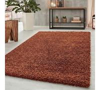 Abaseen Small Large Shaggy Rug Modern Rugs Living Room Extra Large Small Medium Rectangular Size Soft Touch Thick Pile Living Room Area Rugs Non Shedding (Terracotta, 160x230 cm)
