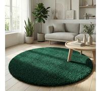 Abaseen Small Large Shaggy Rug Modern Rugs Living Room Extra Large Small Medium Rectangular Size Soft Touch Thick Pile Living Room Area Rugs Non Shedding (Emerald, 120x120 cm)