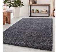 Abaseen Small Large Shaggy Rug Modern Rugs Living Room Extra Large Small Medium Rectangular Size Soft Touch Thick Pile Living Room Area Rugs Non Shedding (Dark Grey, 80x150 cm)