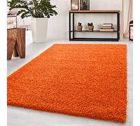 Abaseen Small Large Shaggy Rug Modern Rugs Living Room Extra Large Small Medium Rectangular Size Soft Touch Thick Pile Living Room Area Rugs Non Shedding (Orange, 80x150 cm)
