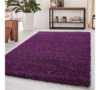 Abaseen Small Large Shaggy Rug Modern Rugs Living Room Extra Large Small Medium Rectangular Size Soft Touch Thick Pile Living Room Area Rugs Non Shedding (Purple, 80x150 cm)