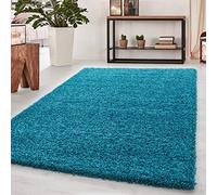 Abaseen Small Large Shaggy Rug Modern Rugs Living Room Extra Large Small Medium Rectangular Size Soft Touch Thick Pile Living Room Area Rugs Non Shedding (Teal Blue, 120x170 cm)