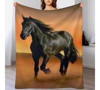 ABASWSA Horse Blanket Ultra-soft Micro Fleece Blankets Soft And Warm Throws Anti-pilling Throw For Adults & Kids (100×130cm)