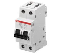 ABB - 25A DP Type D MCB