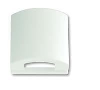 ABB Busch-Jaeger 50x50 Cover Plate in Matte White - 2CKA001710A3876
