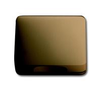 ABB Busch-Jaeger Bronze Transition Plate 50x50mm 1746-21-101 - 2CKA001753A5986