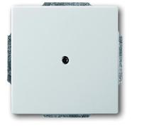 ABB Busch-Jaeger Pure Stainless Steel Control Element/Central Plate Switchgear - 2CKA001710A3751