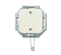 ABB Busch-Jaeger SI Installation Switch - 2CKA001315A0423