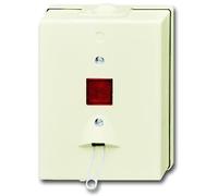 ABB Busch-Jaeger Surface-Mounted Standard Installation Switch - 2CKA001315A0449
