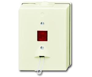 ABB Busch-Jaeger Surface-Mounted Standard Installation Switch - 2CKA001315A0449