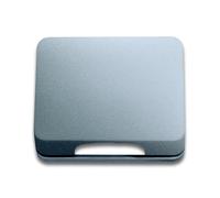 ABB Busch-Jaeger Titanium Cover Plate 50x50mm 1746-266-101 - 2CKA001710A3339