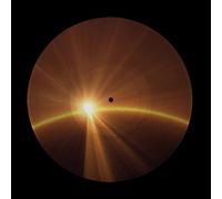 ABBA Voyage - Limited Edition Picture Disc Vinyl LP in Black ABBA Black