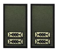 Abbdbd 2 Pcs Israel Patch Tactical Morale Israeli Rank Embroidered Hook and Loop Badge Military Uniform Emblem Applique for Clothes Backpack
