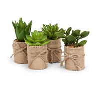 Abbott Collection Artificial Succulents - Small Fake Plants Wrapped in Burlap Decor - Green Assorted Succulents for Office, Desk, Home Decorations (4pk, 4" Tall)