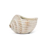 Abbott Collection Small Conch Planter - Cement, Grey, 6" L (2x3 Opening)