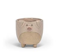 Abbott Collection Small Pig on Legs Planter