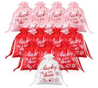 Abbylike 15 Pcs Lucky in Love Bachelorette Bags Reusable Bachelorette Gift Bags Bridesmaid Proposal Gifts for Lucky in Love Party Decorations Hangover Kit Bridesmaid Favors Bridal Shower
