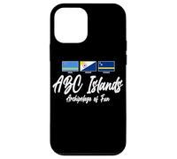 ABC Islands Archipelago of Fun Aruba Bonaire and Curaçao Case for iPhone 12 mini