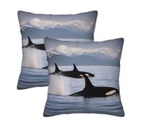 abcklkd Killer Whales Swim Along Print Versatile Personalized Pillow Cover,Usable all year round Cushion Cover,Set of 2