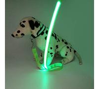 Abcsea Pet Glow Rope Leash, Dog Buckle Rope Leash, Strap Rope, Pet Glow Rope Light Up in Dark - Green, 1 PCS