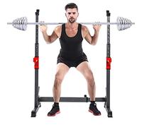 Abdominal Muscle Equipment Dumbbell Bench Heavy Duty Barbell Rack,Adjustable Sturdy Steel Squat Dipping Station,Health & Fitness Weight Bench Press Stand for Home Load