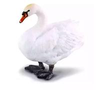 Łabędź niemy M Collecta