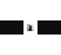 Abel Selaocoe, Aurora Orchestra, Nicholas Collon & Bernhard Schimpelsberger - Abel Selaocoe’s "Four Spirits" (Live) [VINYL]