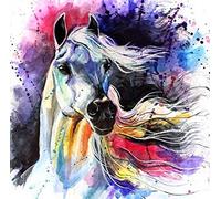 ABEUTY 5D Diamond Painting DIY Full Drill Rhinestones, Colorful Horse Head Animal, Paint with Diamonds Crystal Diamond Art Kits (Colorful Horse)