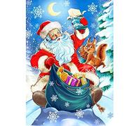 ABEUTY 5D Diamond Painting DIY Full Drill Rhinestones, Santa Squirrel Moon Animals, Crystal Diamond Art Kit (Santa, 30x40cm, Unisex, Adult, Non-Foldable)