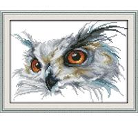 ABEUTY Cross Stitch Kits The White Owl for Adults Pre Printed or NOT, DIY 14 Count Embroidery Sewing Starter Kit Stamped or Unstamped DMC Needlework Easy Beginners (Stamped)