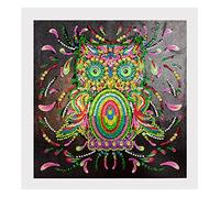 ABEUTY Diamond Painting DIY 5D Special Shape Rhinestones, Colorful Owl, Partial Drill Crystal Diamond Art Kits