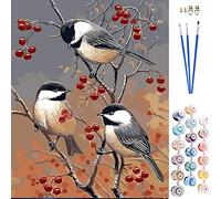 ABEUTY DIY Fabric Decorating Kits, Paint by Numbers xxxxxx 16x20 inches Number Painting Wall Art (Birds, Wooden Framed)