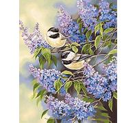 ABEUTY DIY Paint by Numbers for Adults Beginner - Bird Lilac Flower 16x20 inches Number Painting (Wooden Framed)