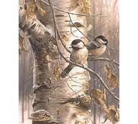 ABEUTY DIY Paint by Numbers for Adults Beginner - Birds on The Tree 16x20 inches Number Painting