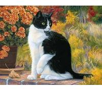 ABEUTY DIY Paint by Numbers for Adults Beginner Black & White Cat Garden 16x20 inches Number Painting (No Framed)