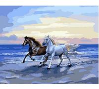 ABEUTY DIY Paint by Numbers for Adults Beginner - Black & White Horse Beach Run 16x20 inches Number Painting Anti Stress Toys (Wooden Framed)