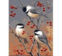 ABEUTY DIY Paint by Numbers for Adults Beginner Flowers and Birds of Living Room 16x20 inches Number Painting (No Frame)