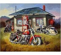 ABEUTY DIY Paint by Numbers for Adults Beginner - Motorcycle on The Grass Outside The House 16x20 inches Number Painting (No Frame)