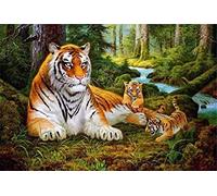 ABEUTY DIY Paint by Numbers for Adults Beginner - Tiger & Tiger Cub Forest 16x20 inches Number Painting (No Frame)