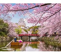 ABEUTY DIY Paint by Numbers for Adults, Himeji Castle Moat & Cherry Blossoms 16x20 inches Number Painting Art Therapy (Blossoms, Wooden Framed)