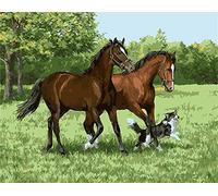 ABEUTY DIY Paint by Numbers for Adults, Horse & Dog in The Grassland 16x20 inches Number Painting Art Therapy