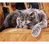 ABEUTY Paint by Numbers Kits Animal Cat Sofa Without Frame, DIY Number Painting Canvas Wall Art 40x50cm (No Frame, Cat)