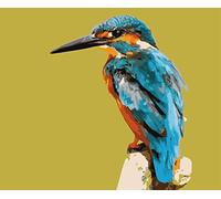 ABEUTY Paint by Numbers Kits River Kingfisher Bird Without Frame, DIY Number Painting Canvas Wall Art 40x50cm (No Frame, Kingfisher)