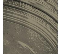 Abigail Ahern Peel & Stick Sample - Wild Millet