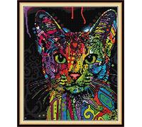 Abillyn Embroidery Cross Stitch Kits Colorful Cat Stamped with Printed Pattern Starter Kit (Colorful Cat)