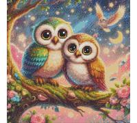 Abillyn Embroidery Cross Stitch Kits Cute Owl Stamped with Printed Pattern Starter Kit (Owl)