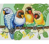 Abillyn Embroidery Cross Stitch Kits Four Parrots Stamped with Printed Pattern Starter Kit (Parrots)
