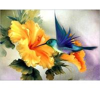 Abillyn Embroidery Cross Stitch Kits Hummingbird and Flower Stamped with Printed Pattern Starter Kit (Hummingbird)