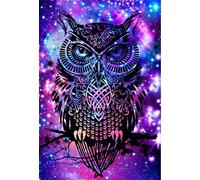 Abillyn Embroidery Cross Stitch Kits Owl Silhouette, Psychedelic Starry Stars Sky Stamped with Printed Pattern Starter Kit (Owl)